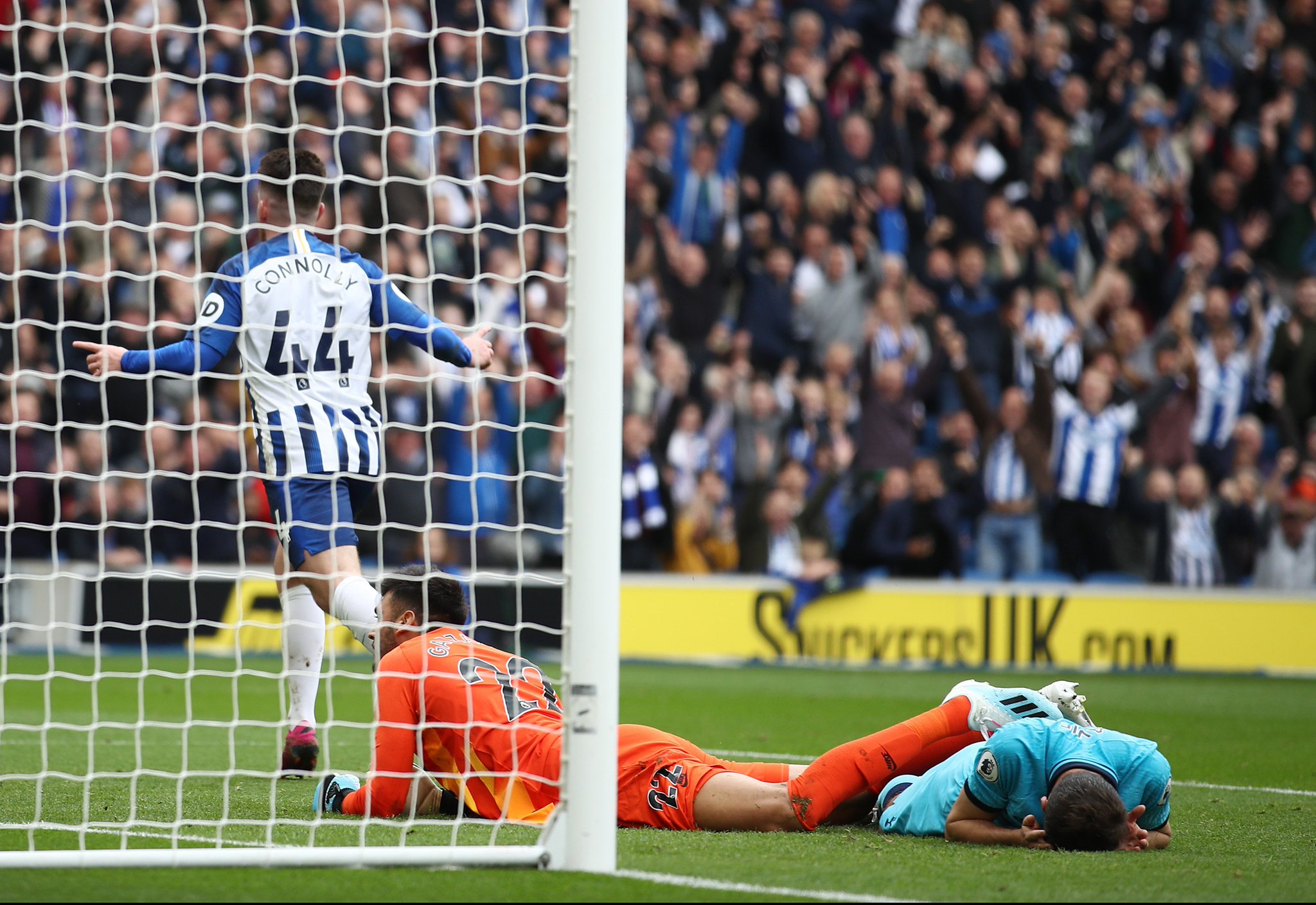 而特狮和加 而特狮和加